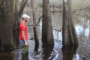 Water quality assessment.