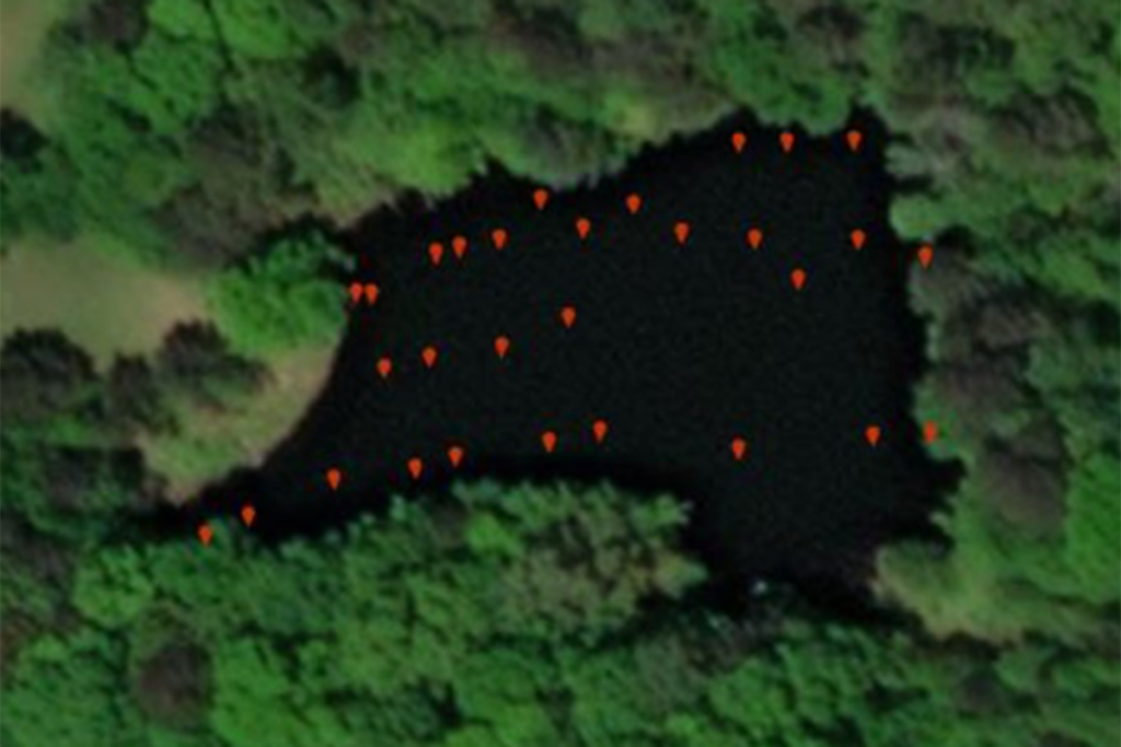 Pond and Wildlife Management Plan